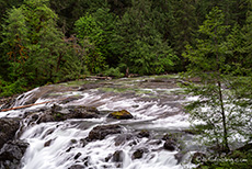 Wasserfall des Englishman River, Vancouver Island