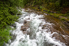 Wildwasser im Little Qualicum Falls Provincial Park, Vancouver Island