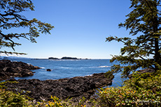 Wild Pacific Trail in Ucluelet, Vancouver Island