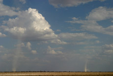 Sandhose in der Etosha