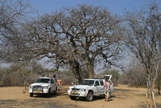 Campsite Khama Rhino