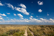 die Weite der Kalahari
