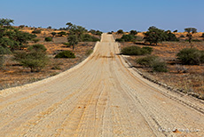 Dünenstraße im Kgalagadi Transfrontier Park