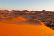 Die Namib im ersten Licht