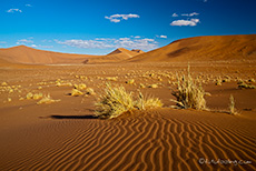 Unser Lieblingssandkasten, die Namib