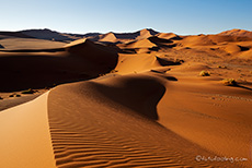 Dünenlandschaften in der Namib