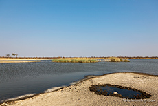 Salt Pan im Hwange Nationalpark