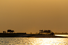 Sonnenuntergangsstimmung am Chobe River