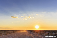 Kurz vor Sonnenuntergang, Etosha Nationalpark, Namibia