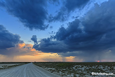 Unwetterfront im Etosha Nationalpark, Namibia