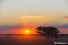 Sonnenuntergang im Etosha Nationalpark, Namibia