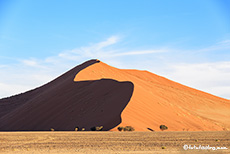 Die Dünen der Namib sind immer wieder ein Highlight für uns