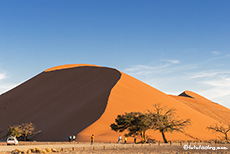 Düne 45, Namib