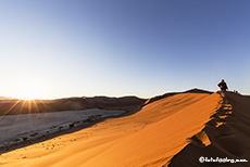 Sonnenaufgang über der Namib