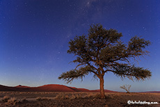 Sternenhimmel in der Namib
