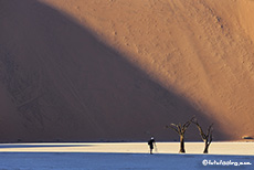 Chris bei seinen Lieblingsbäumen im Deadvlei, Namib, Namibia