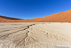 ausgetrocknete Wasseradern auf dem Lehmboden des Deadvleis, Namib, Namibia