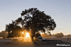 Sonnenaufgang auf der Sesriem Campsite, Namibia