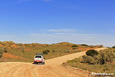 Dünenquerung im Kgalagadi Nationalpark, Botswana, Südafrika
