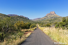Zum Teil gibt es geteerte Pisten im Marakele Nationalpark, Südafrika