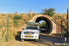 Durch die Röhre kommt man in den Big Five Teil des Marakele Nationalparks, Südafrika
