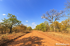 Zufahrt zum Nordteil des Gonarezhou Nationalparks, Zimbabwe
