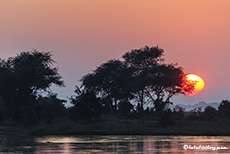 Sonnenaufgang, Mana Pools Nationalpark, Zimbabwe