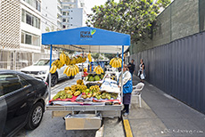 Stand mit Obst und Früchten, Miraflores, Lima