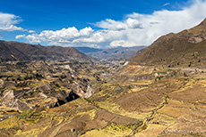 Tolle Aussicht in den Colca Canyon
