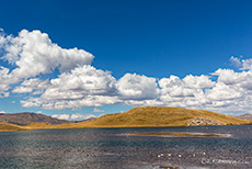 Laguna Lagunillas, See mit Flamingos auf einer Hochebene