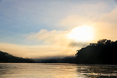Die Sonne kämpft sich durch den Nebel, Río Madre de Dios, Manu Nationalpark