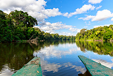 Unterwegs auf dem Cocha Salvador (Altwassersee), Manu Nationalpark