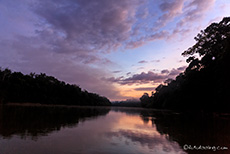 Morgenstimmung auf dem Río Madre de Dios, Manu Nationalpark