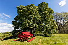 Gartenanlage am Cawdor Castle