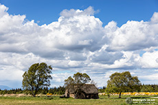 Leanach Cottage, Schlachtfeld von Culloden
