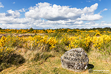 Gedenkstein Clan Mackintosh auf dem Schlachtfeld von Culloden
