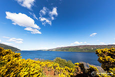 Loch Ness