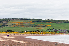 Strand am Chanonry Point