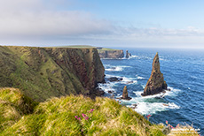 Wunderschöne Steilküste mit den Duncansby Stacks