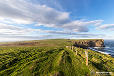 Toller Weg an der Steilkküste des Duncansby Head