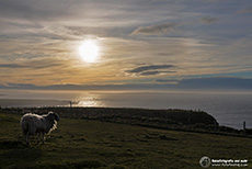 Sonnenuntergang am Meer, Duncansby Head
