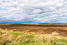 Tolle Landschaften im Norden von Schottland