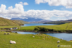 Landschaft an der Gesto Bay, Schottland