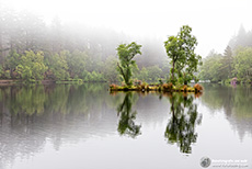 Glencoe Lochan im Morgennebel
