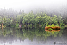 Tolle Landschaft - Glencoe Lochan im Morgennebel