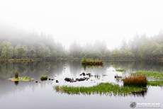 Glencoe Lochan See im Morgennebel