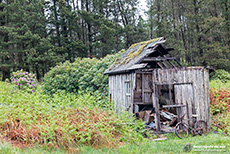 Alte Hütte am Straßenrand
