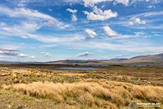 Rannoch Moor, Schottland