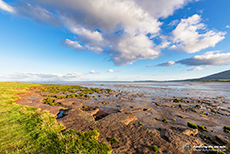 Caerlaverock National Nature Reserve, Channel of Lochar Water, Schottland