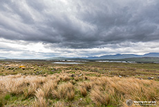 Rannoch Moor, Schottland